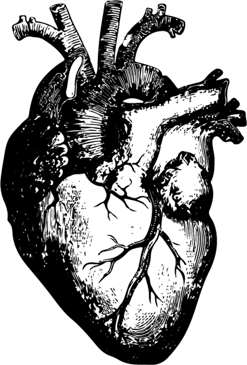 Element e Filmproduktion