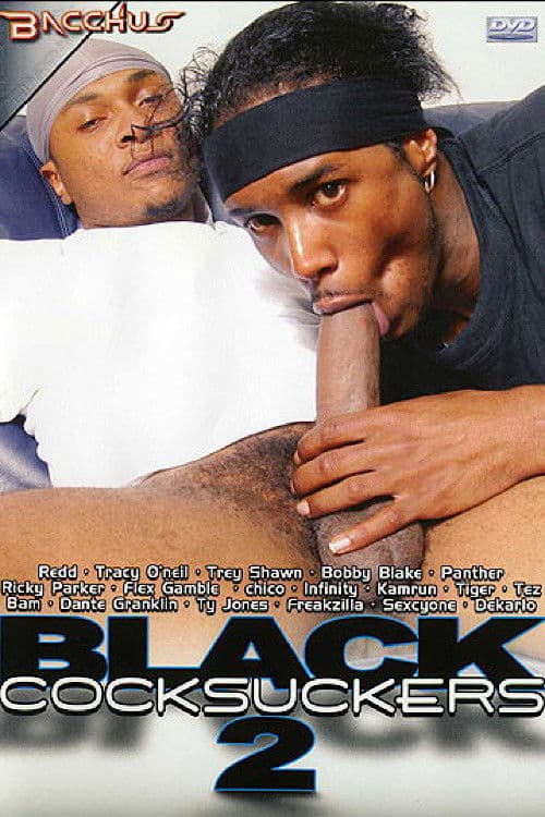 Black Cocksuckers 2 poster