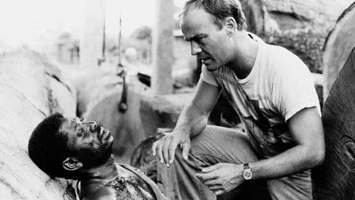 African Timber poster