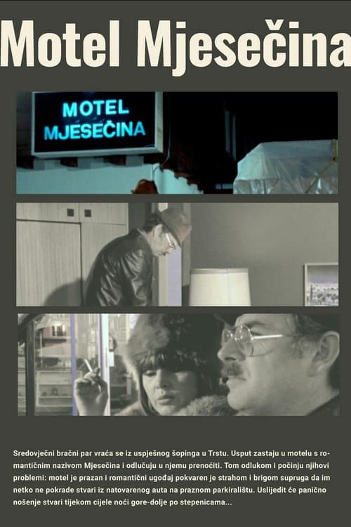 Motel Moonlight poster