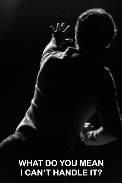 What Do You Mean I Can't Handle It? poster