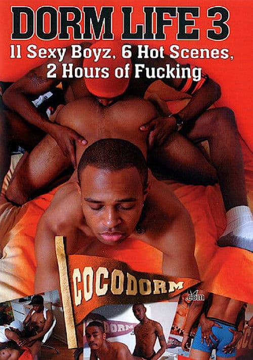 Dorm Life 3 poster