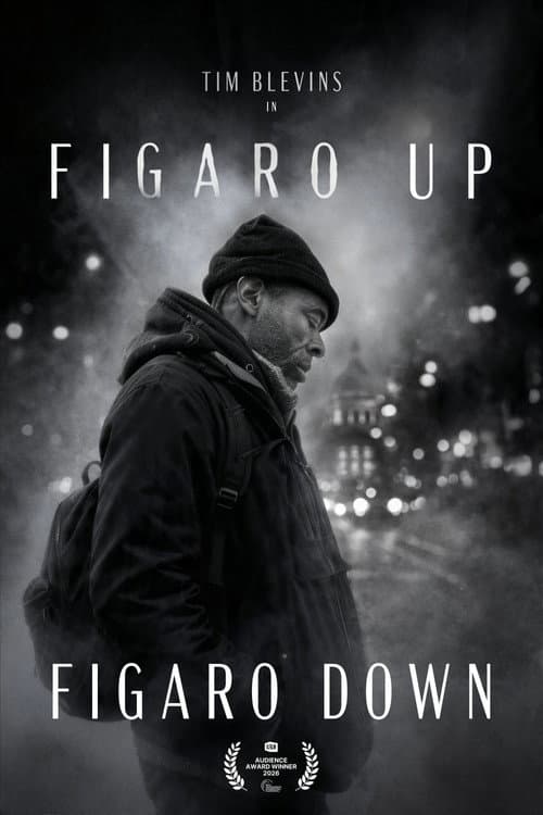 Figaro Up, Figaro Down poster