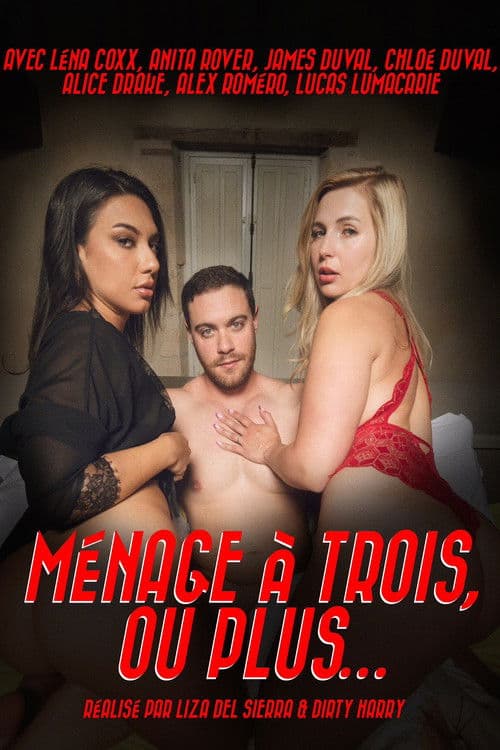 A Menage a Trois, Or More poster