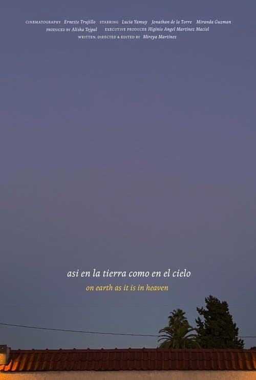Así en la tierra como en el cielo poster