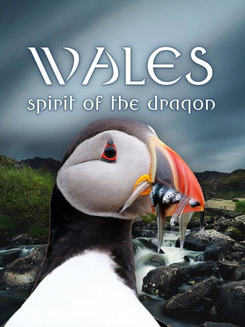 Wales: Spirit of the Dragon poster