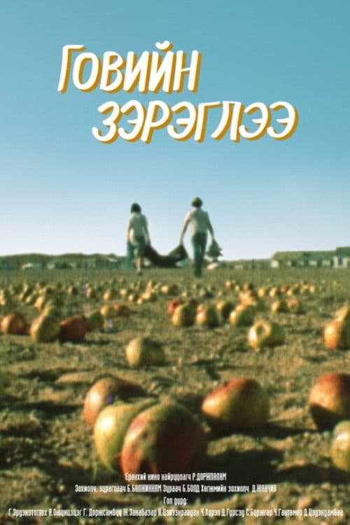 Mirage Above the Gobi Desert poster