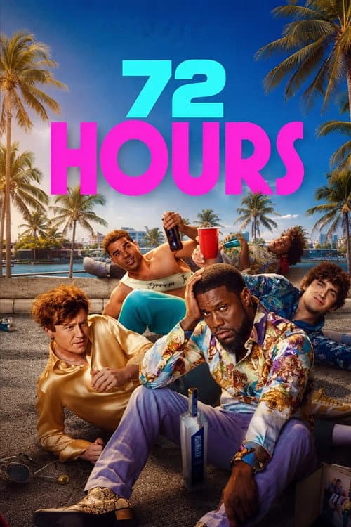 72 HOURS poster