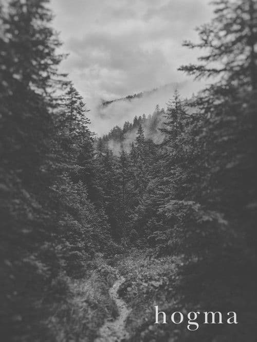 Hogma poster