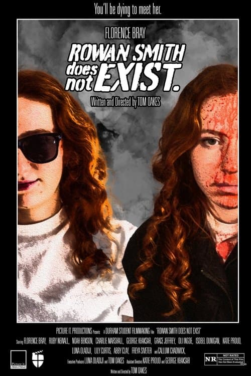 Rowan Smith Does Not Exist. poster