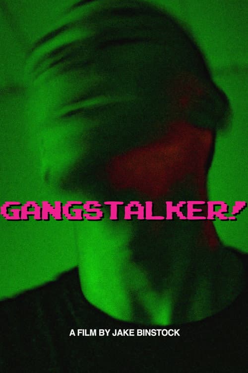 GANGSTALKER! poster