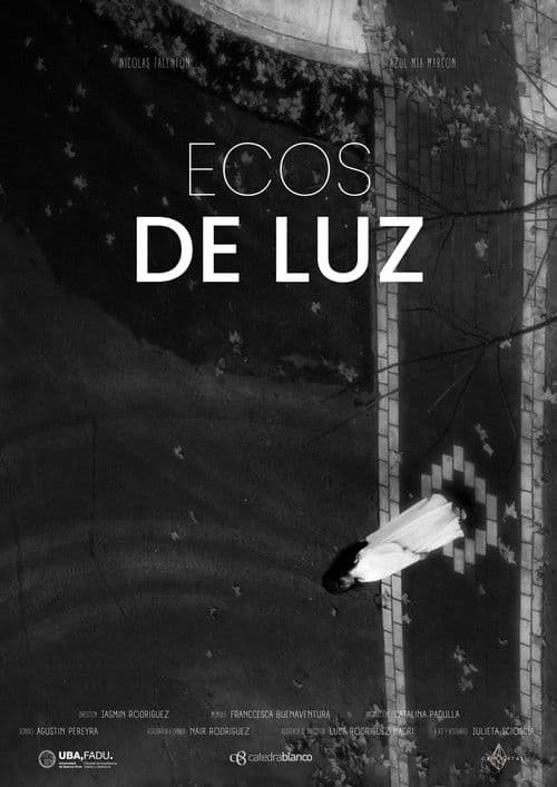 Ecos de luz poster