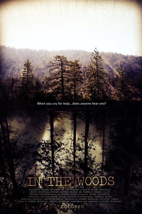 In the Woods poster