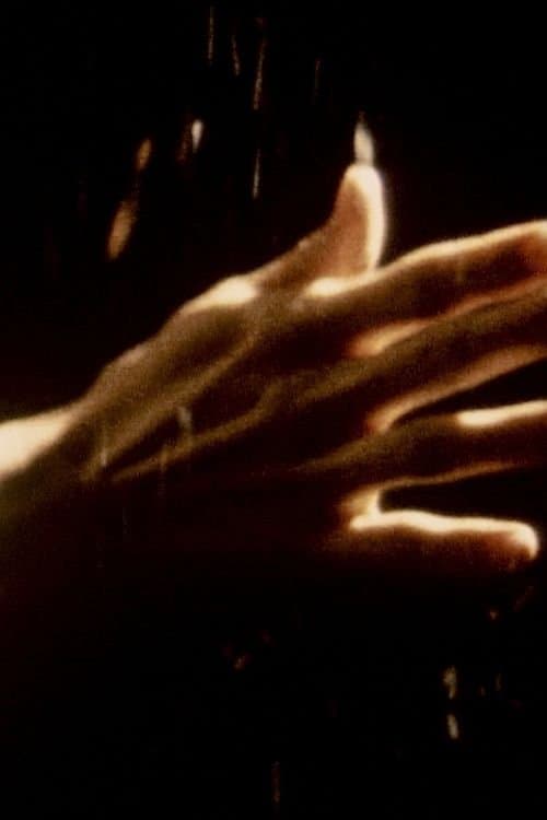 Det Snöar om Börken poster