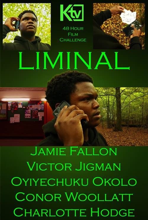 Liminal poster