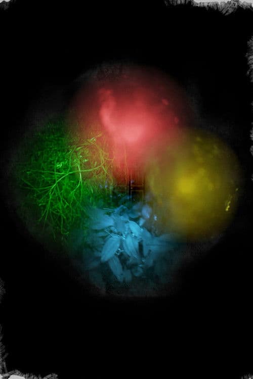 Trapallada (Saudade) poster