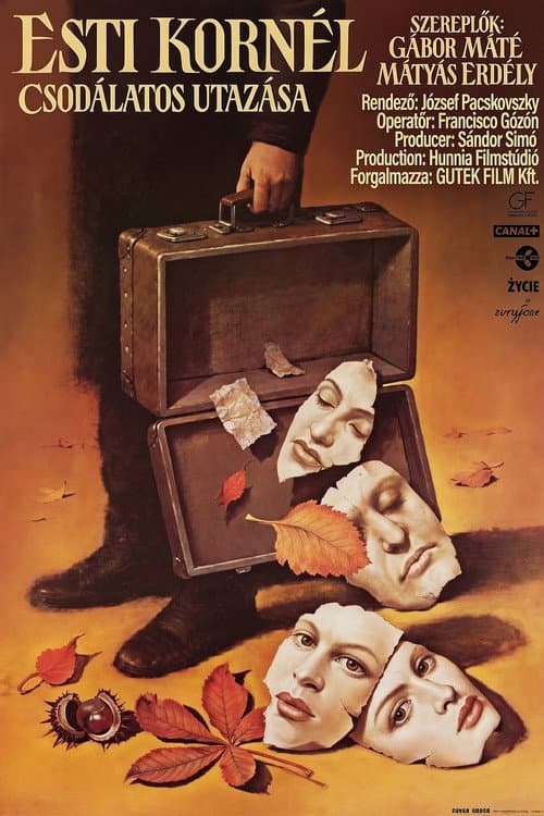 The Wondrous Voyage of Kornel Esti poster