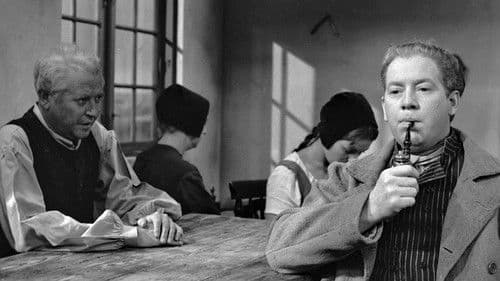 Hosekræmmeren poster