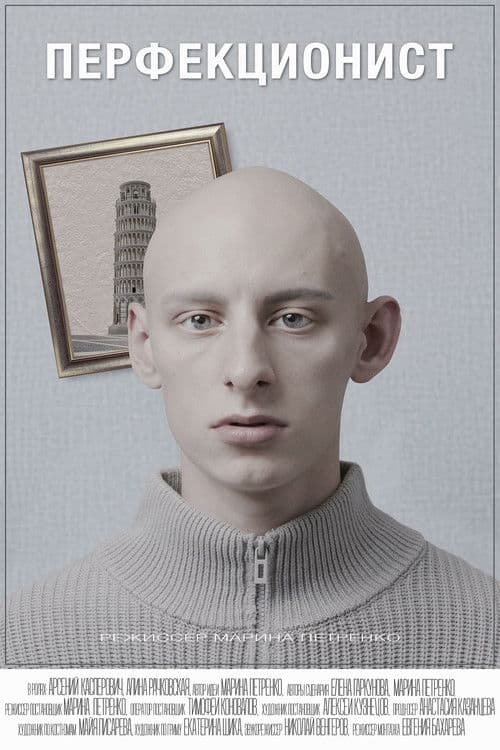 Перфекционист poster