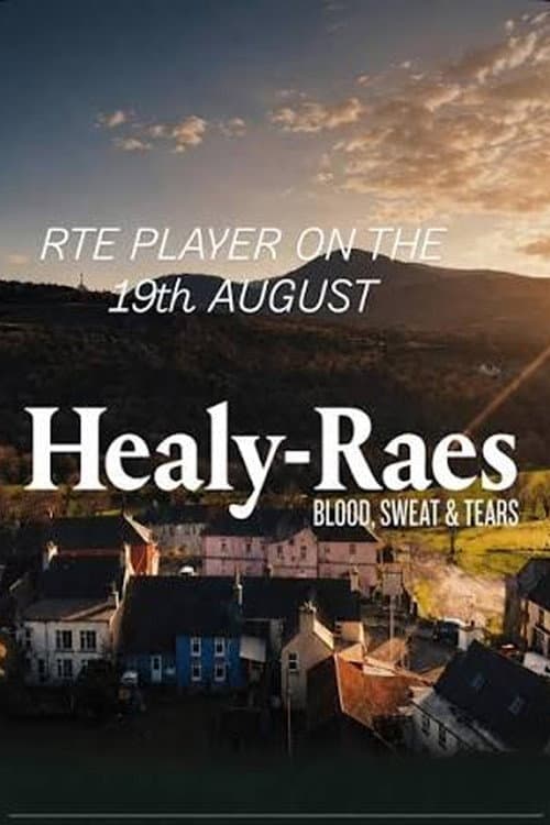 The Healy-Raes: Blood, Sweat & Tears poster