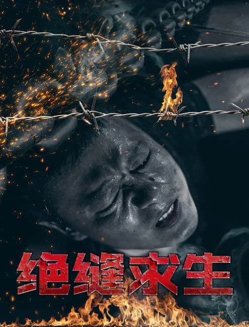 绝缝求生 poster