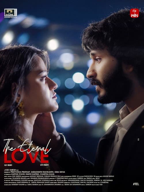 The Eternal Love poster