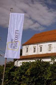 Museum of Madness poster