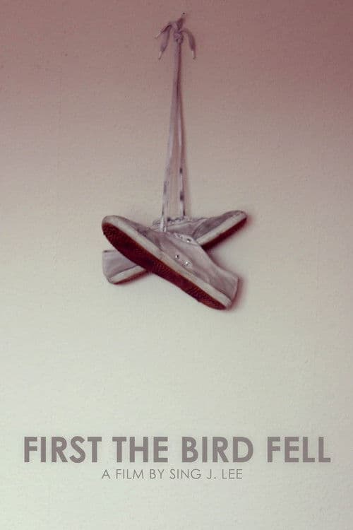 First the Bird Fell poster