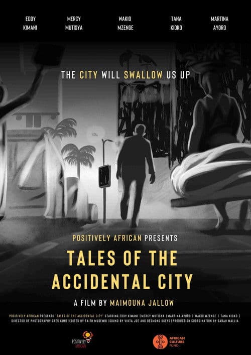Tales of the Accidental City poster