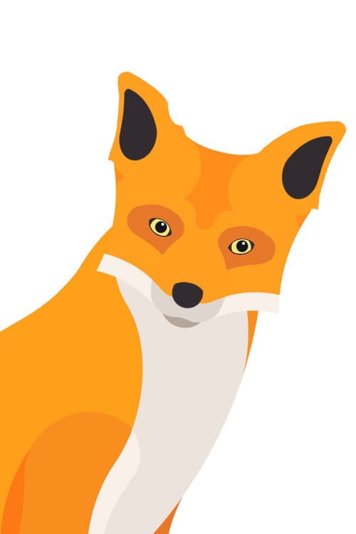 Cheddar Fox profile photo