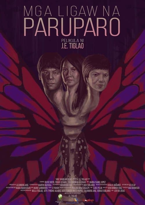 Wandering Butterflies poster