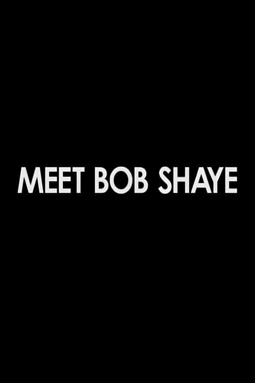 Meet Bob Shaye poster