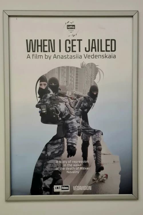 When I Get Jailed poster