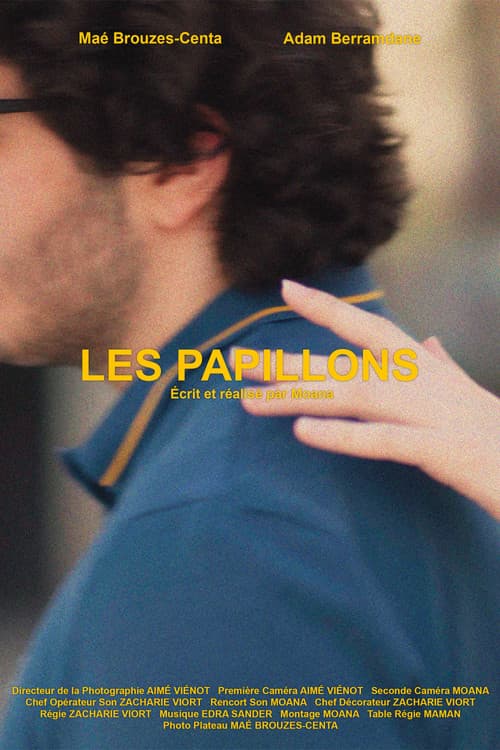 Les Papillons poster