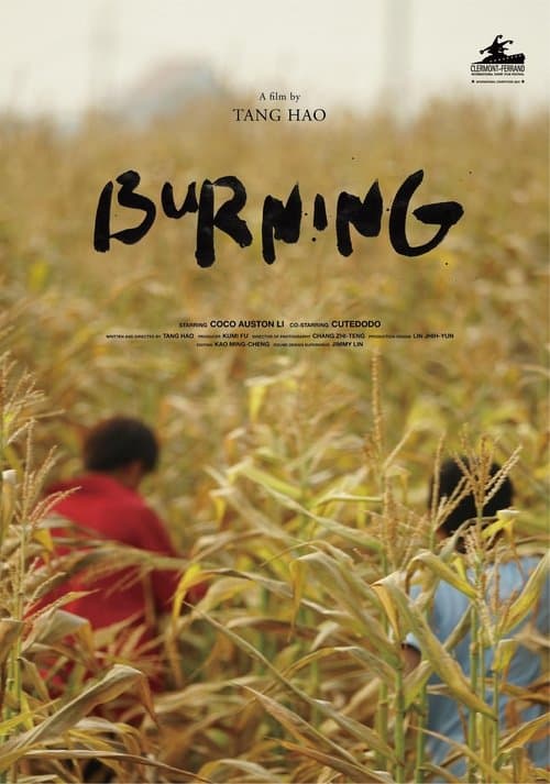 Burning poster