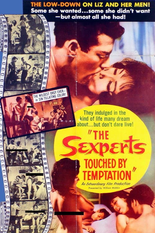 The Sexperts: Touched by Temptation poster