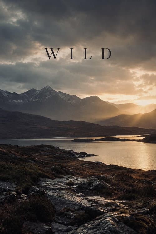 Wild poster