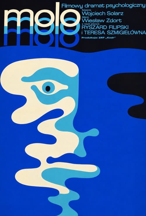 The Pier poster