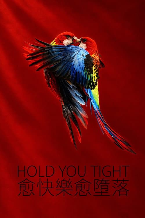 Hold You Tight poster