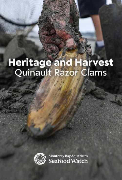 Heritage and Harvest: Quinault Razor Clams poster