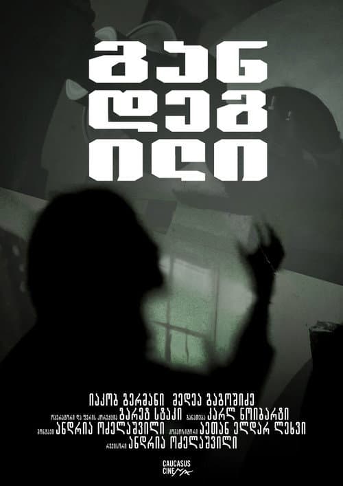 The Hermit poster