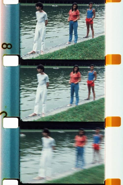 Chutes de Feuilles d’été poster