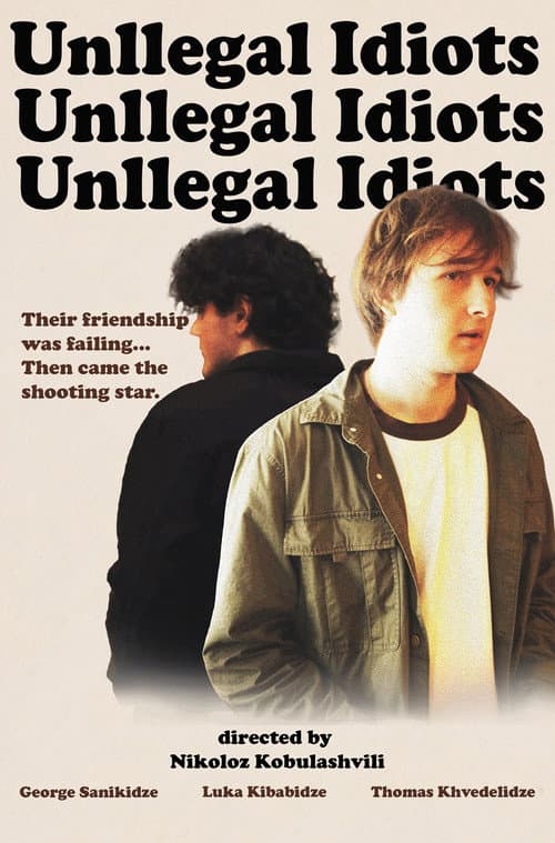 Unllegal Idiots poster