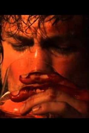 Vale Tudo Project poster