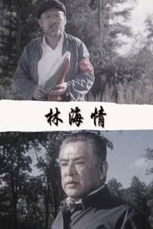 林海情 poster