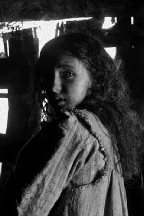 Udane Elosegi profile photo