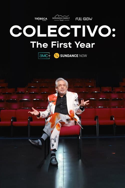 COLECTIVO: The First Year poster