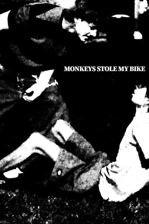 Monkeys Stole My Bike poster