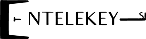 Entelekey Sinema