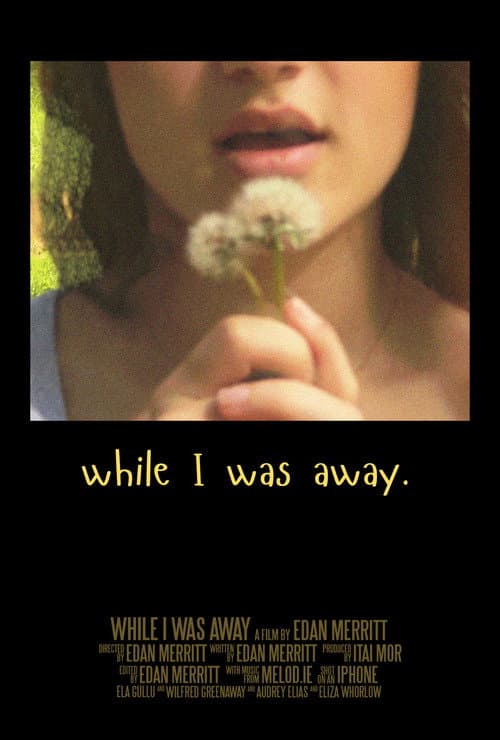while I was away poster